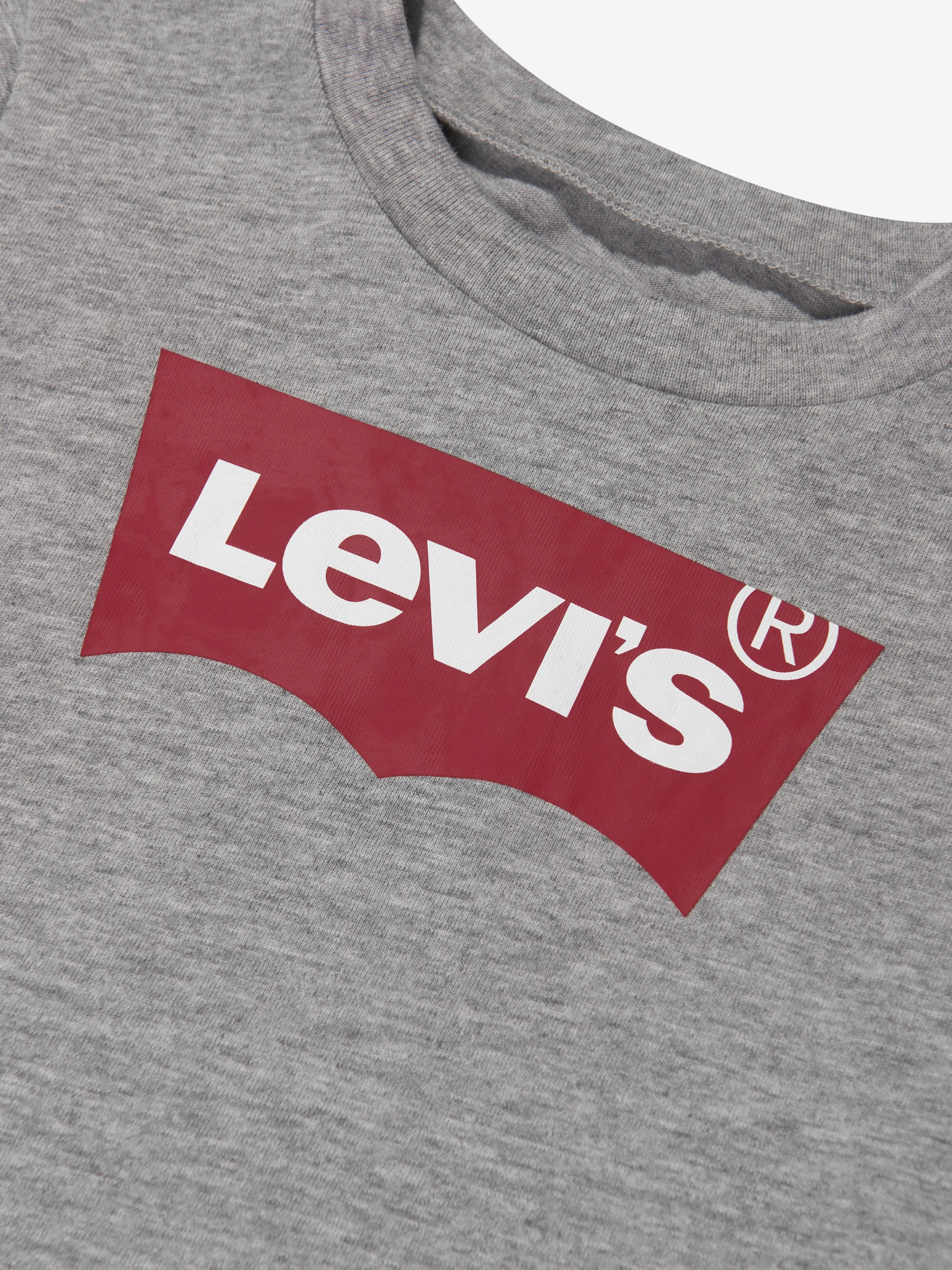 Levi's Baby Boys Batwing T-Shirt in Grey