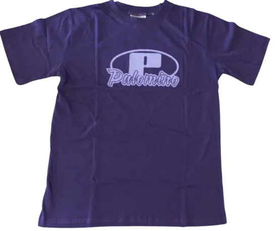 Reddam Palomino College T-shirt - WATERFALL