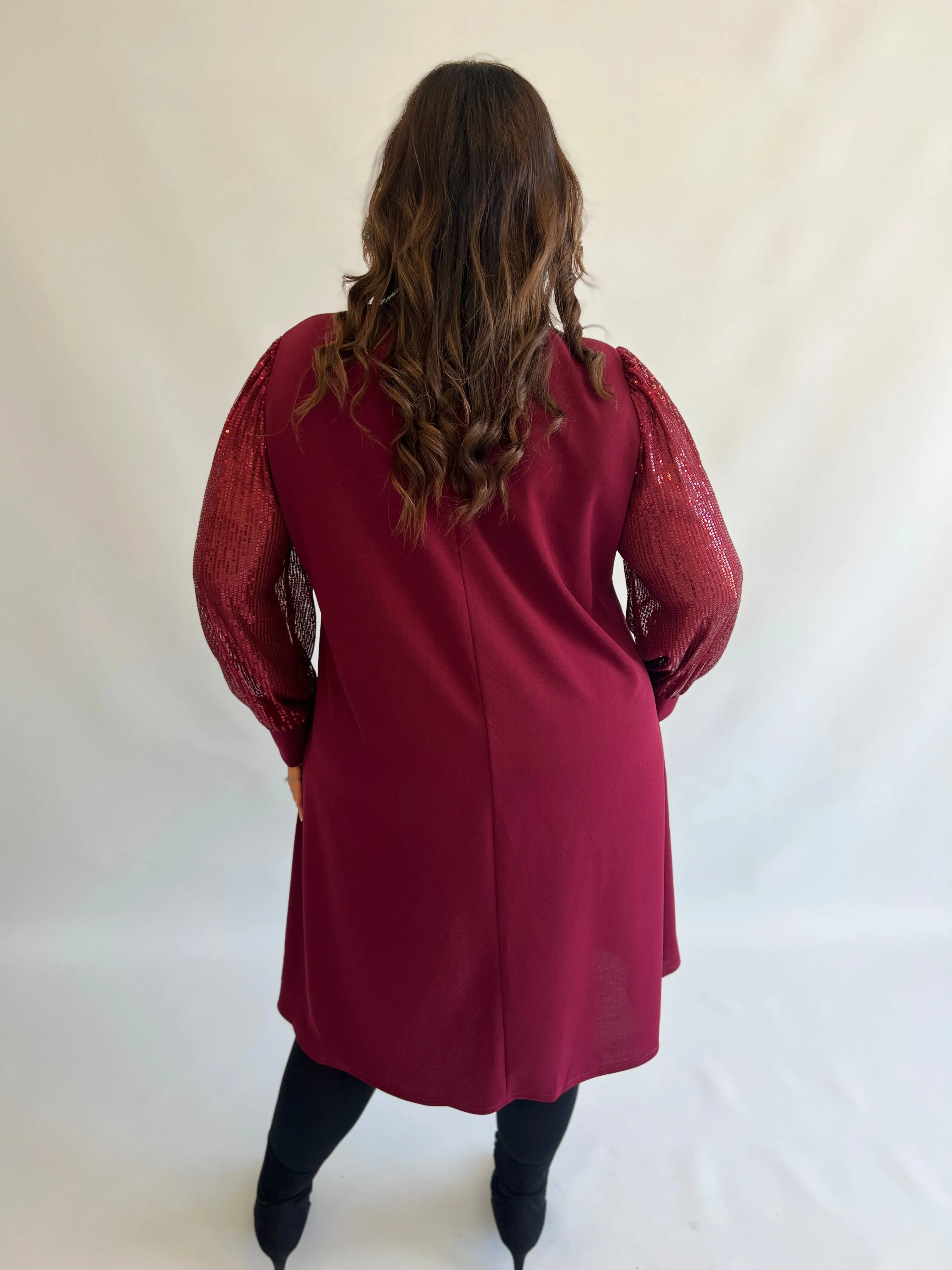 Zali Sequined Dress in Wine